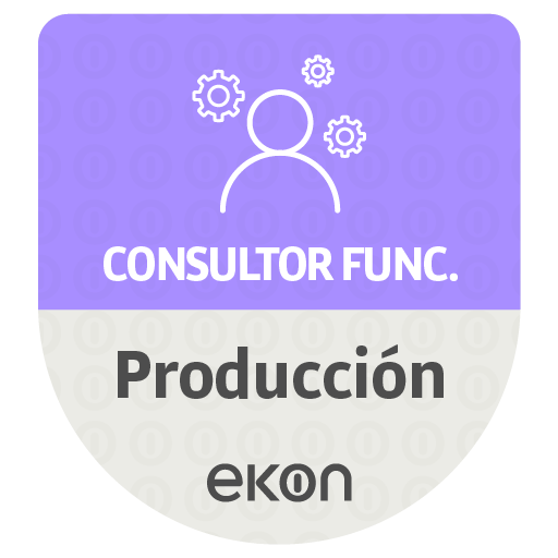 Consultor Funcional Ekon Producci&oacute;n