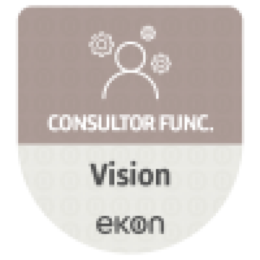 Consultor Funcional Ekon Vision Dise&ntilde;ador