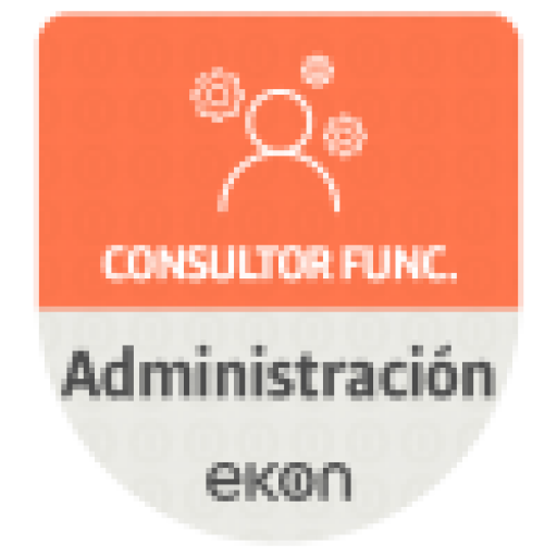 Consultor Funcional Administraci&oacute;n Ekon.